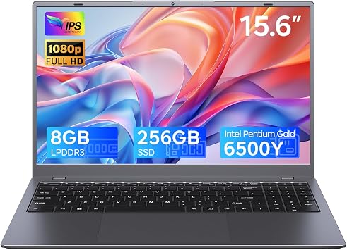 15.6 inch Laptop with Pentium Gold 6500YUp to 3.4GHz, 8GB RAM 256GB SSD,1080P Full HD, USB-C,WiFi 5,BT5.0,Gray Computer Laptops for School, Business