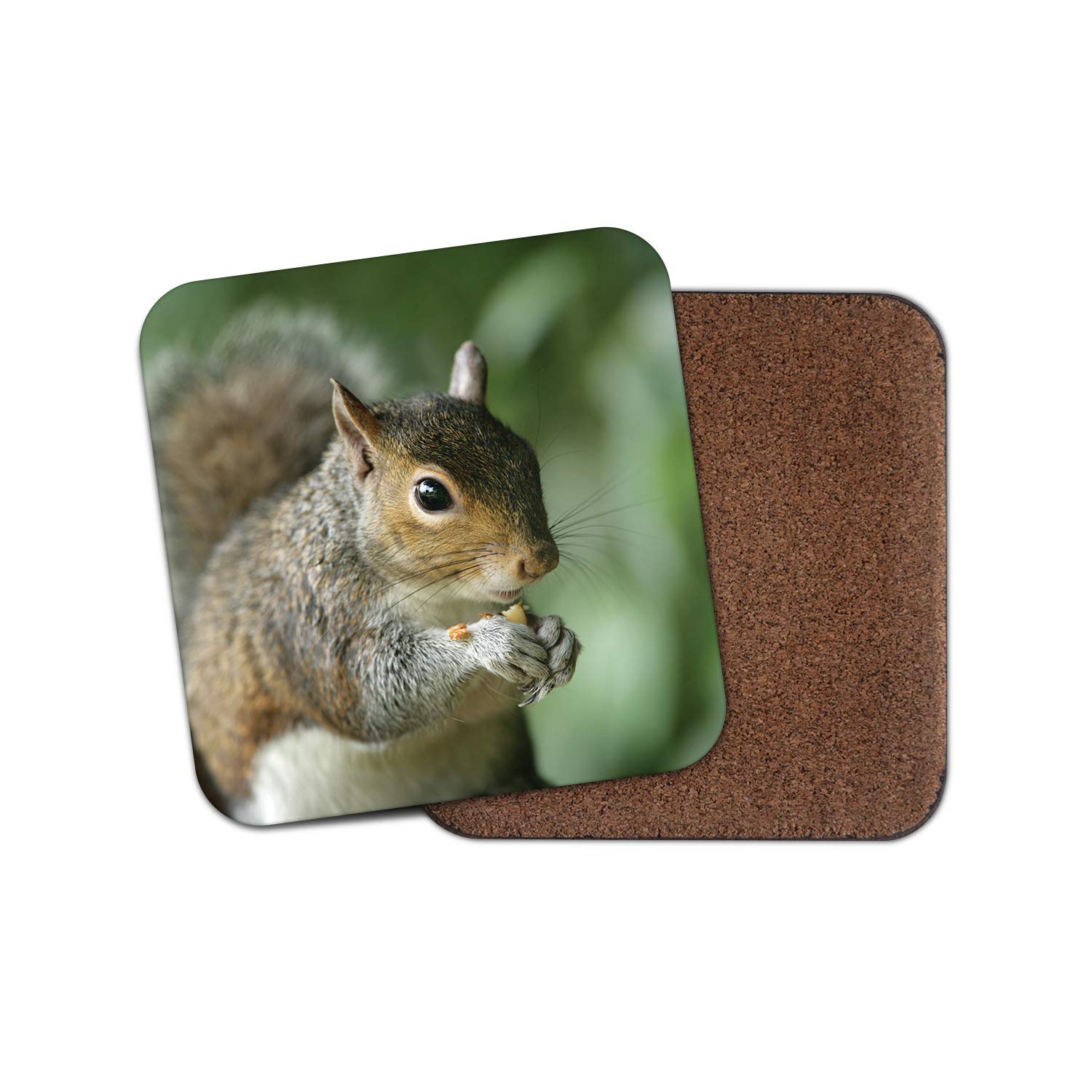 1 x Wild Squirrel Coaster - Nature Wildlife Animals Woods Mum Girls #12855