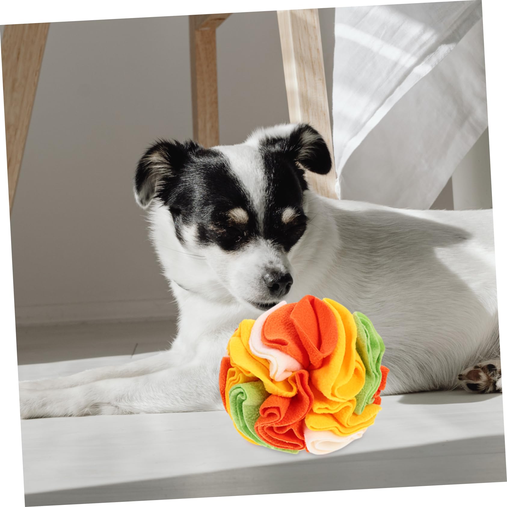 Kisangel 3stücke Hundeschnüffelball Interaktives Spielzeug Für Hunde Slow Feeder Zur des Fressverhaltens Langlebig Und Waschbar Für Welpen Und Kleine Hunde