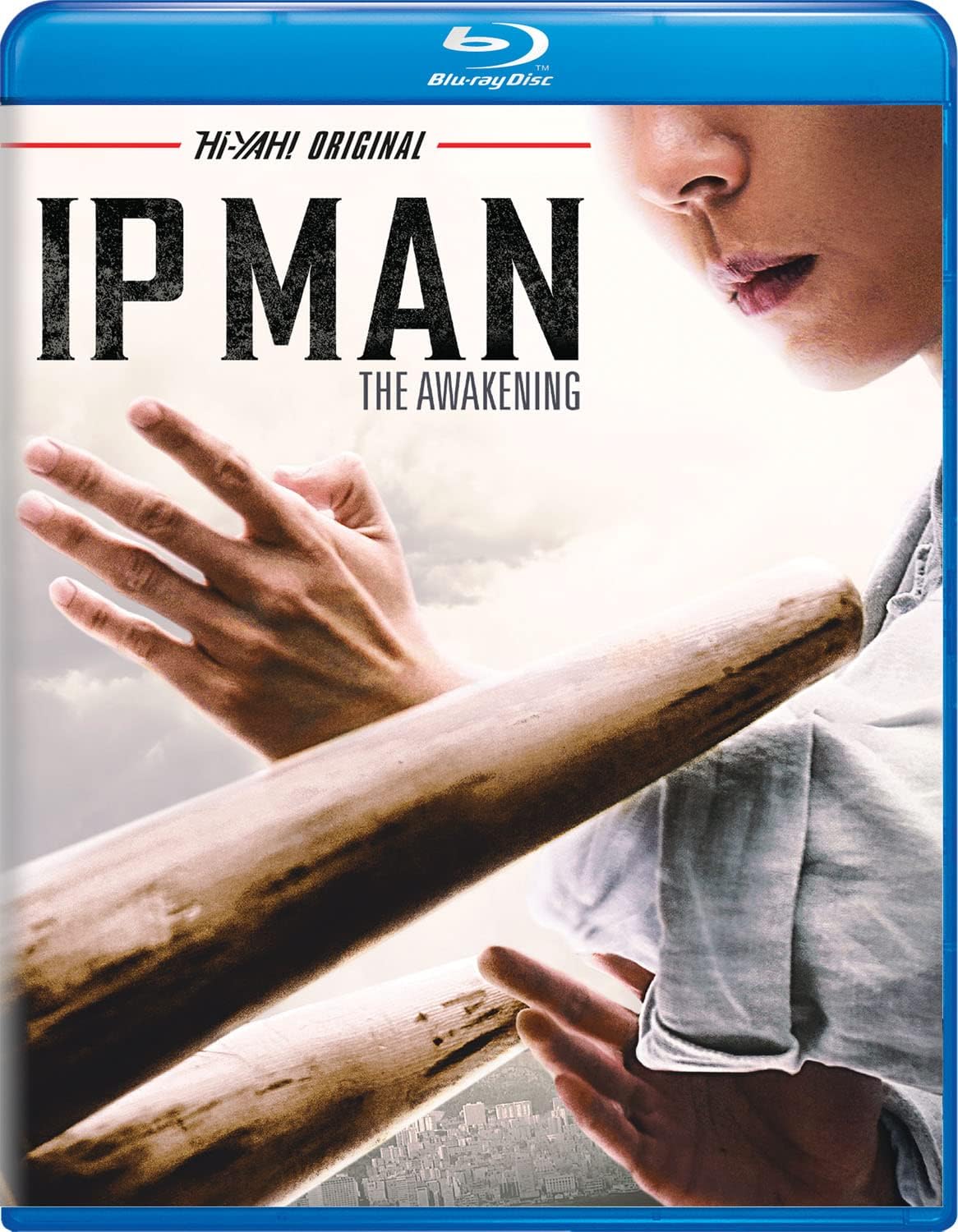 Ip Man: The Awakening