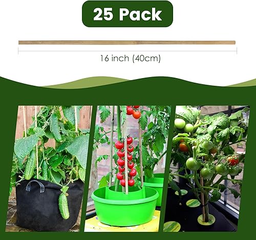 Miniatura 4 de RONGJIA Estacas de bambú fuertes, estacas multiusos de soporte de plantas, la mejor decoración de estacas de jardín para tomate, frijol, flores,