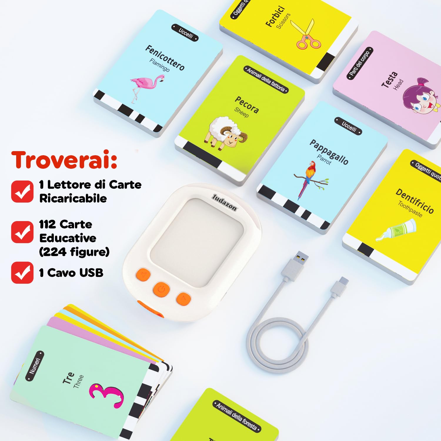 Carte Parlanti Montessori Italiano-Inglese, 224 Vocaboli e 18 Temi Educativi, Il Miglior Giocattolo per Imparare nuove parole in modo Divertente, Idea Regalo 2-6 Anni, Guarda il Video