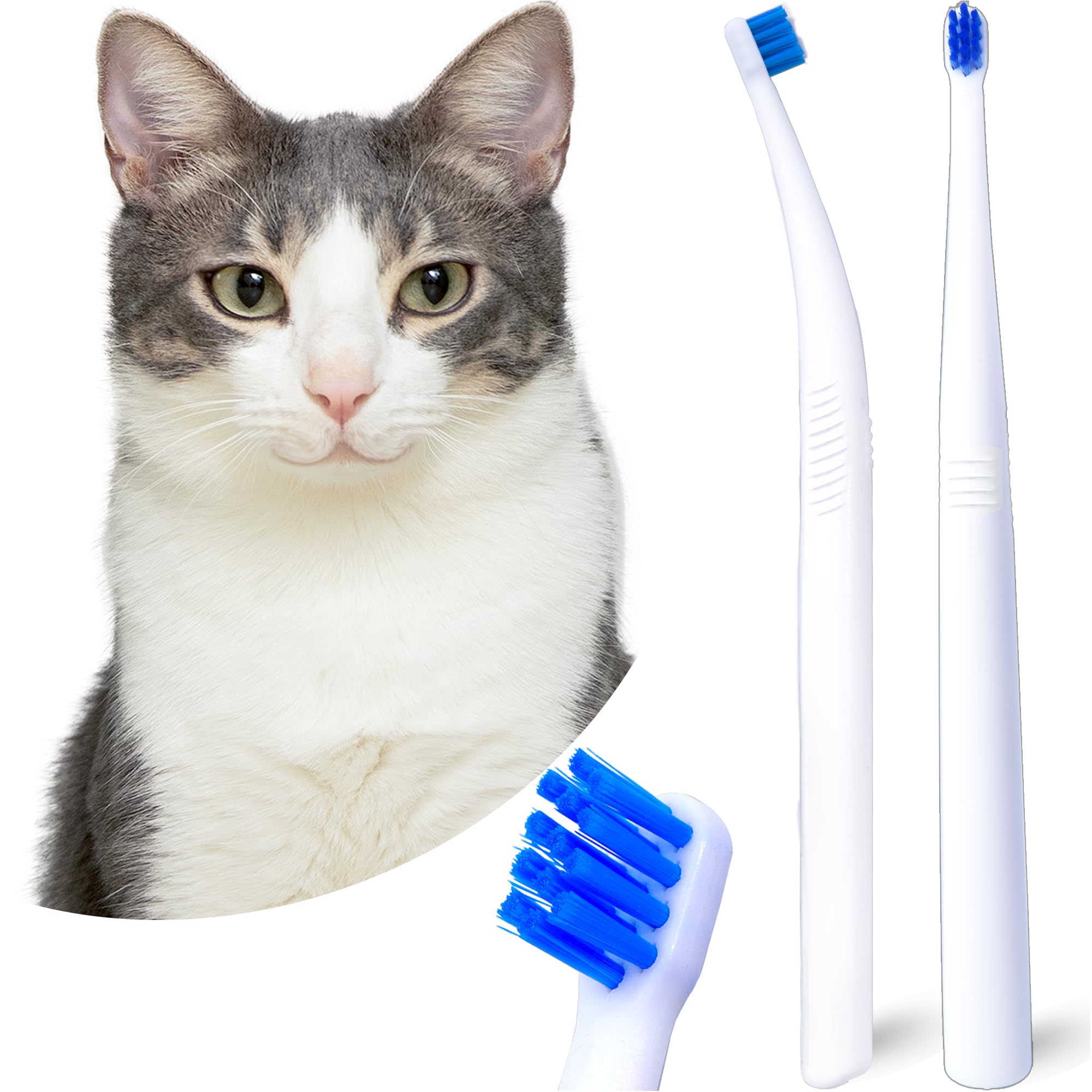 MoonyMars Cat Toothbrush, Small Dog & Puppy Tooth Brushing Kit, Ultra Soft & Mini 15&deg; Curved Head Teeth Brush for Kitten & Tiny Pet, Doggy Toothbrushes Deep Dental Clean, Soft Bristles, 2 PCS - White