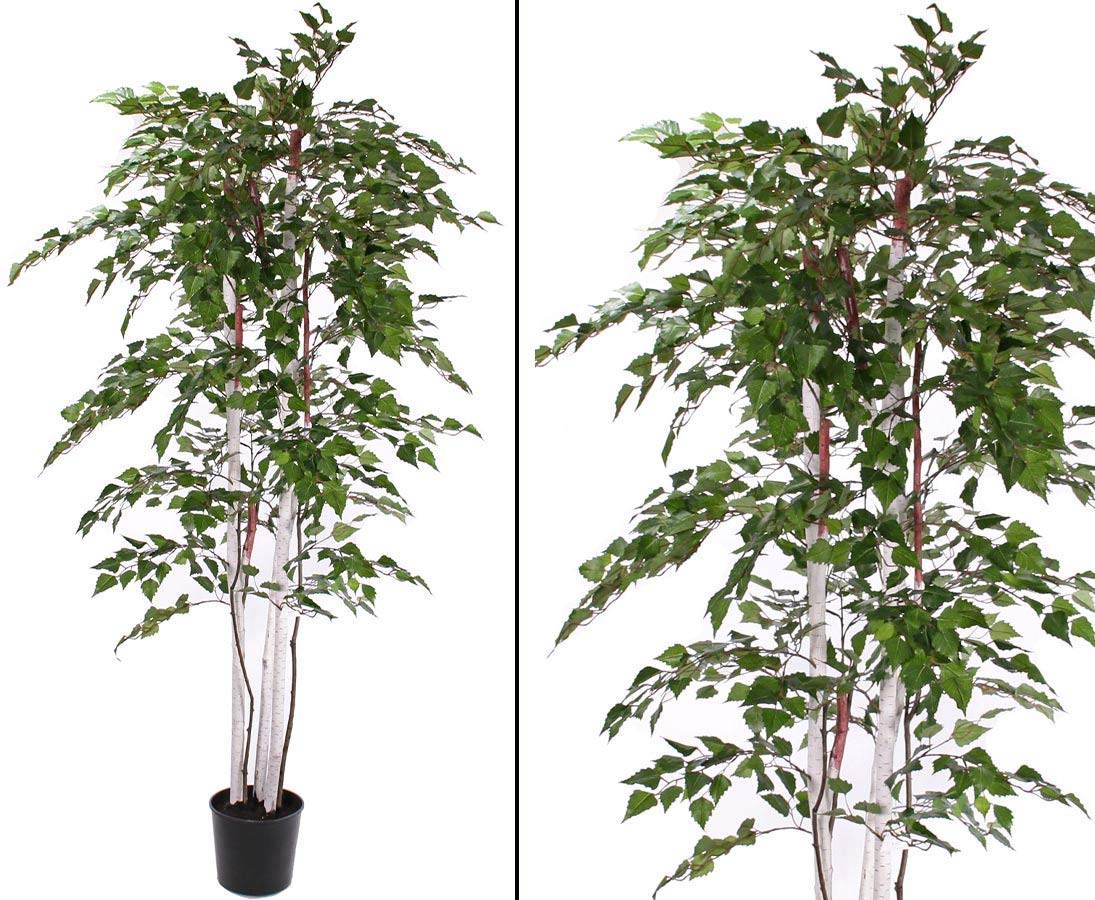 künstliche sukkulenten hängend Künstliche Hänge-Sukkulente - Henriette | 45 cm