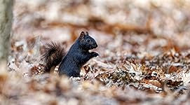 Review Image by John F. John F.