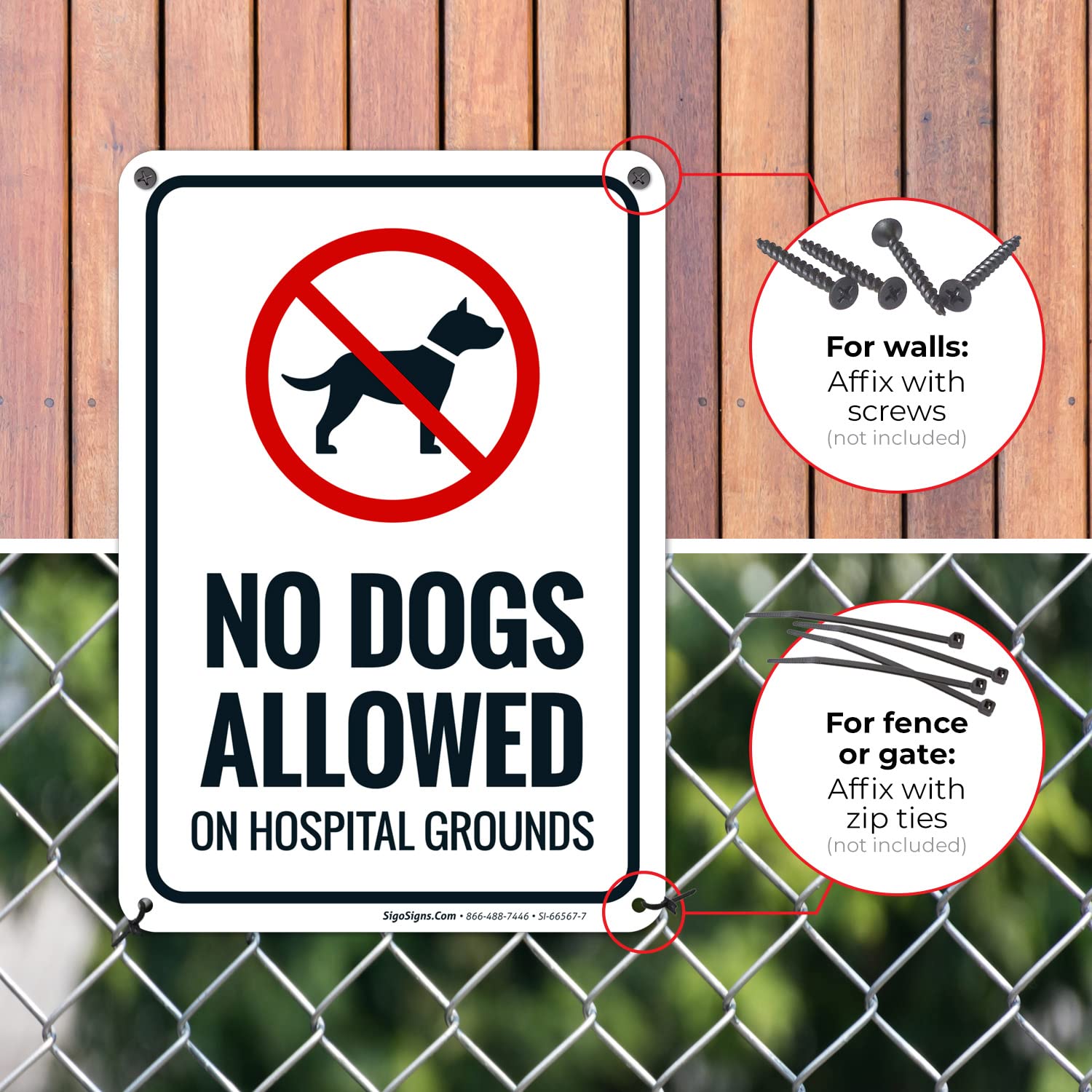 Are Dogs Allowed In Hospital Grounds