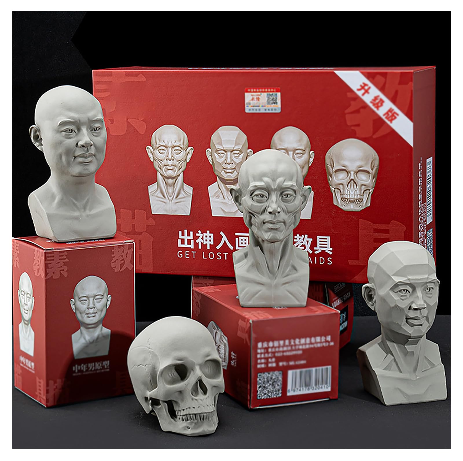 FXNFXLA Head Model for Artists Learn Planes of Face, Skull Muscle Plane Heads Set, Standard Planar Head, Small Manikin Head for Art Drawing Skecthing Study (4PC)