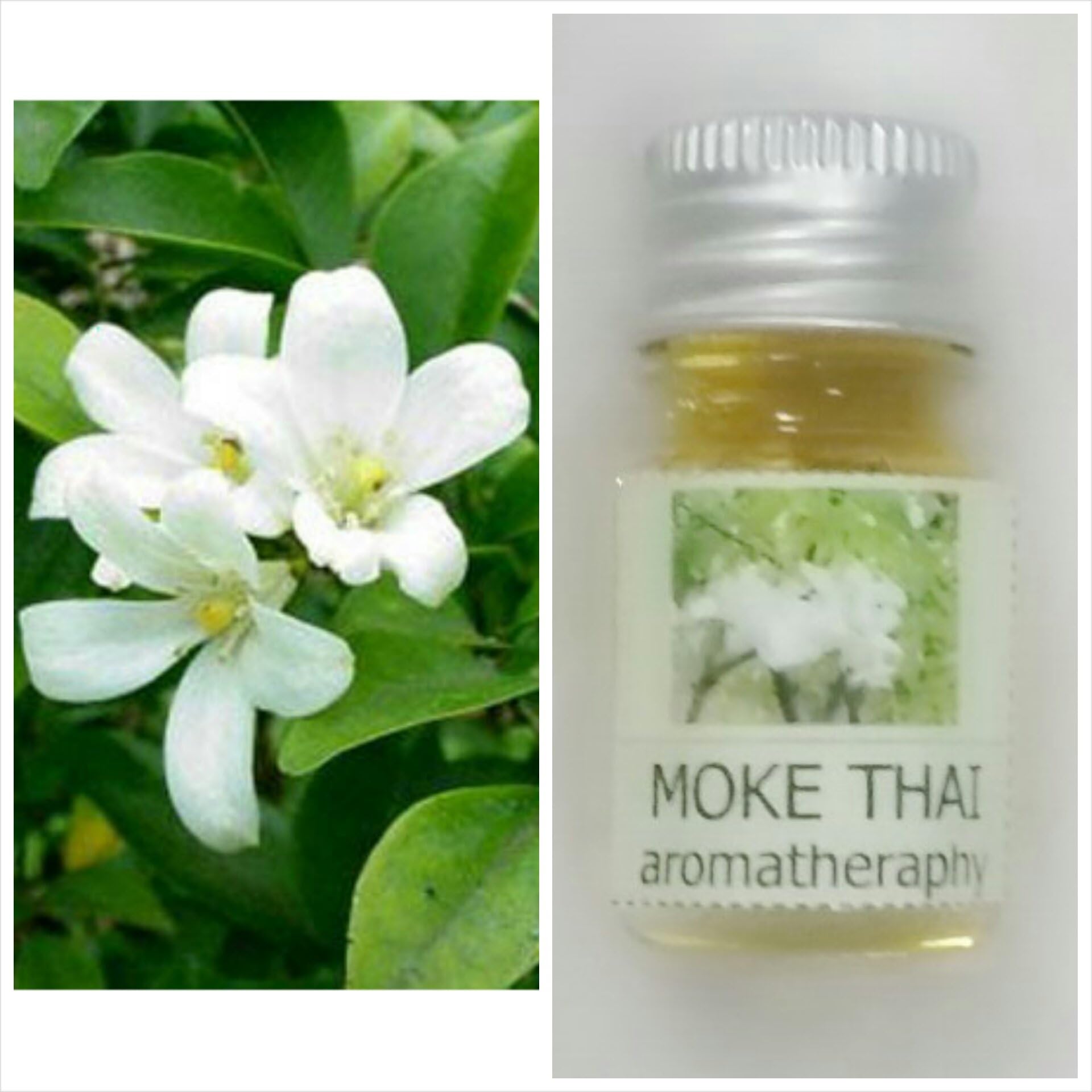 Thai Wild Water Plum (Moke Thai) Scent Thai Spa Aroma Pure Essential/Fragrance Oil for Spa Bath, Candle Lamp Burner, 5ml