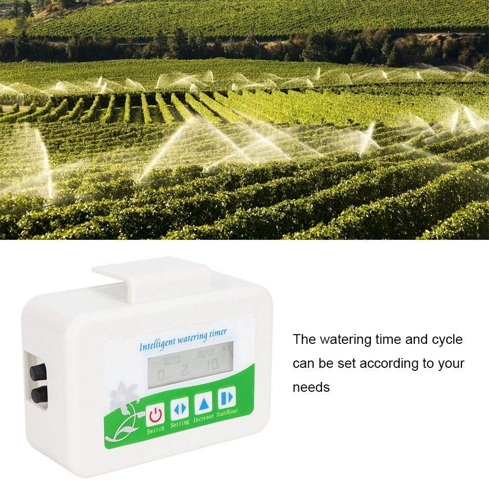 Set di timer per irrigazione solare Attrezzatura per l'irrigazione automatica Strumento per irrigazione a goccia intelligente per piante da fiore