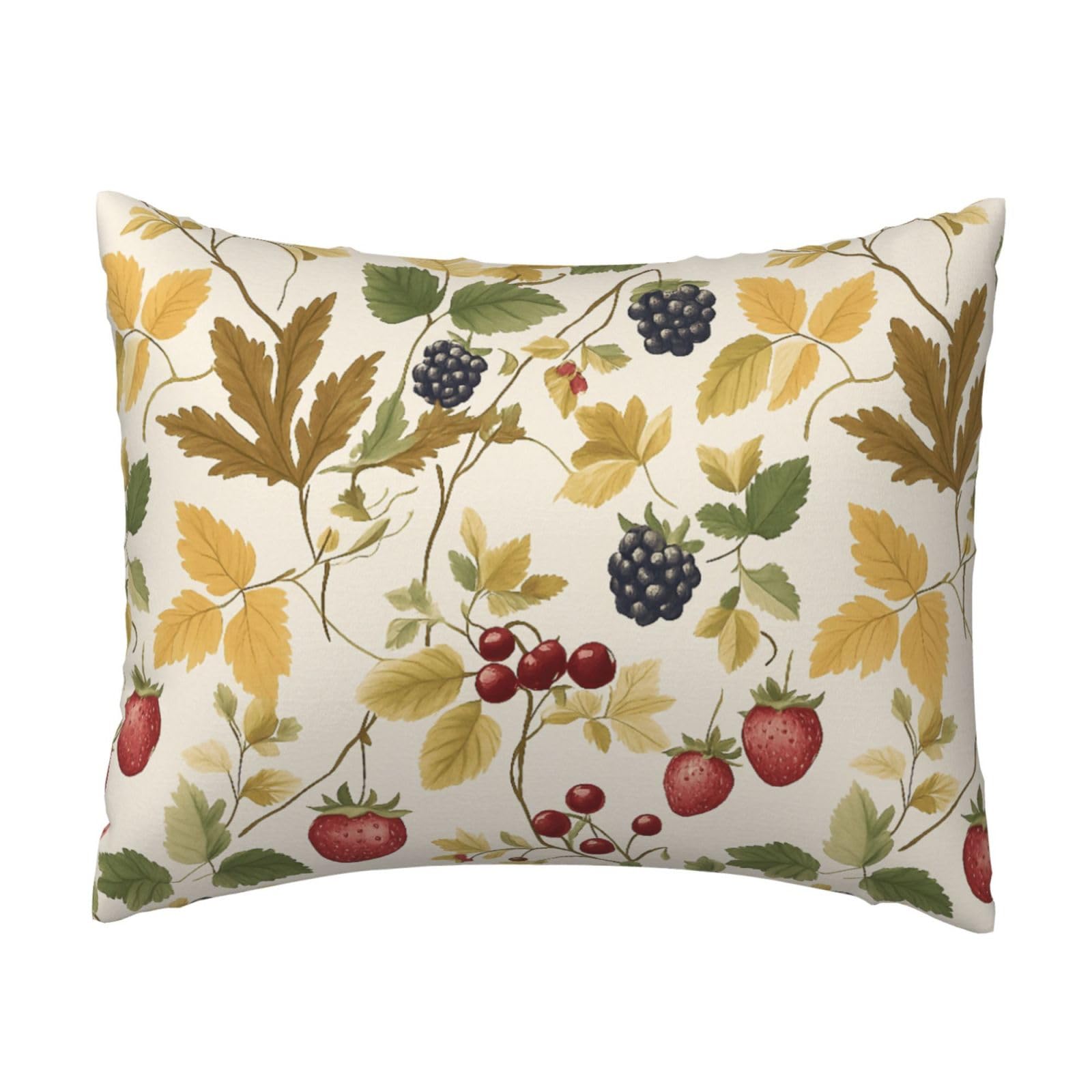 Strawberry and Other Fruit Pillowcase Soft Plush with Zipper Decorative Pillowcovers 16x20 in