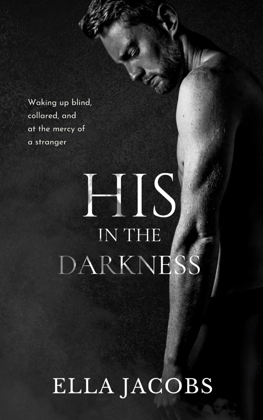 His in the Darkness: A Dark Romance Novella