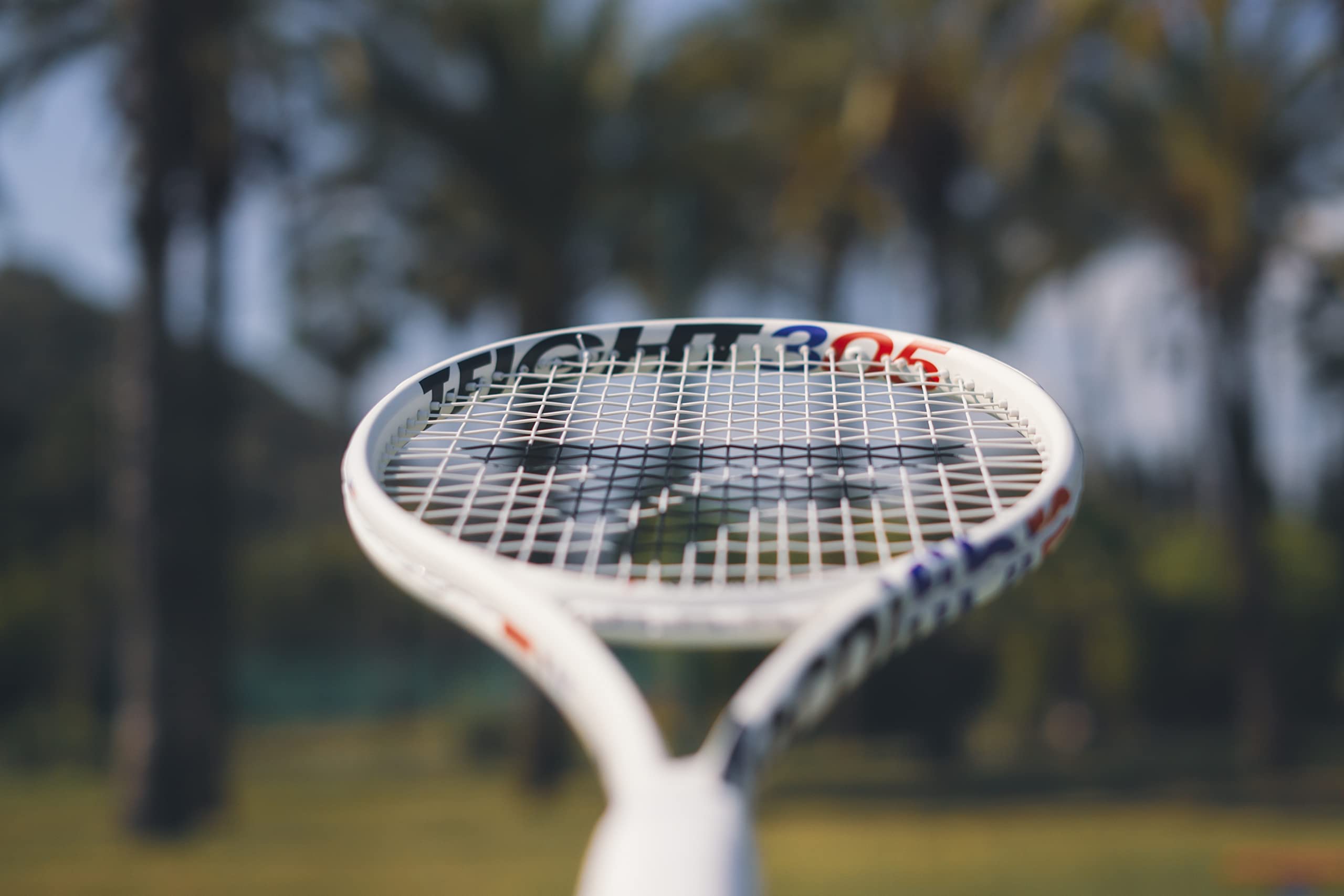 テクニファイバー　T-FIGHT 305 ISOFLEX (305g) T-fight 305 Isoflex Racquet