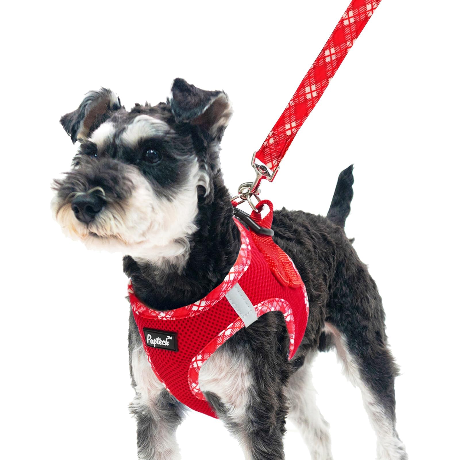 PUPTECK Dog Harness and Leash Set for Small Medium Dogs No Pull Step-in Soft Mesh Puppy Cat Vest Harnesses Reflective at Night, Red, S