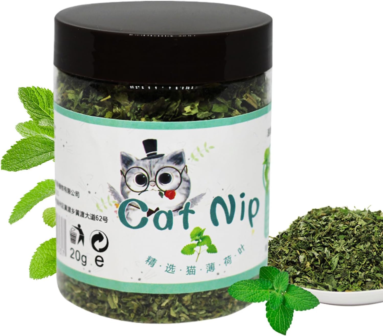 Catnip Plant, Fresh Catnip For Cats, Natural Attractant, Interactive Calming Treat, Indoor Kitten Enrichment & Play, Grow At Home, 4 Inches Pot, Green, 6.5×8.5cm, Easy To Grow, 1 Pack Catnip Plant, Fresh Catnip For Cats, Natural Attractant, Interactive Calming Treat, Indoor Kitten Enrichment & Play, Grow At Home, 4 Inches Pot, Green, 6.5×8.5cm, Easy To Grow, 1 Pack