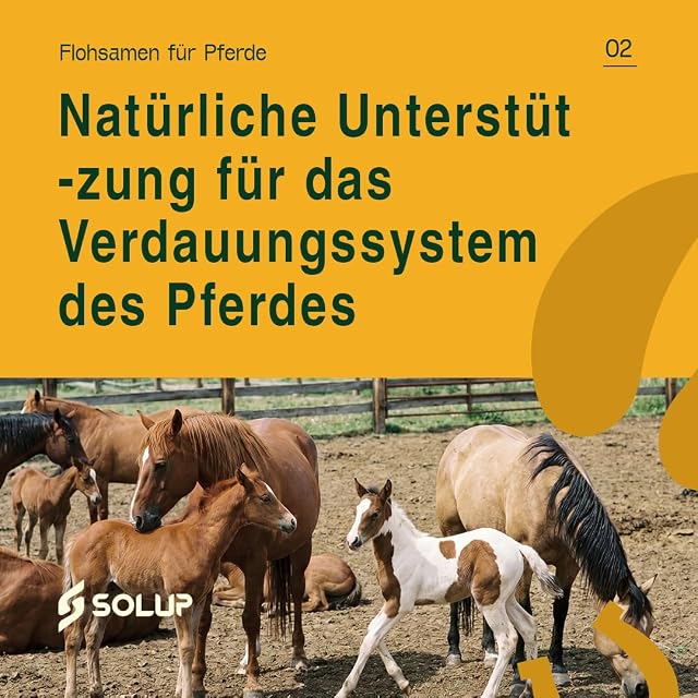 Foto 4 de 8 de SOLUP Semillas de psyllium enteras tamizadas para caballos 3 kg en cubo