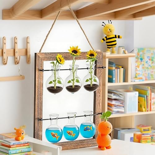 Miniatura 6 de Elsjoy Maceta de cristal para colgar en la pared, estación de propagación de terrarios de plantas de doble capa, mini jarrón de 6 bombillas con