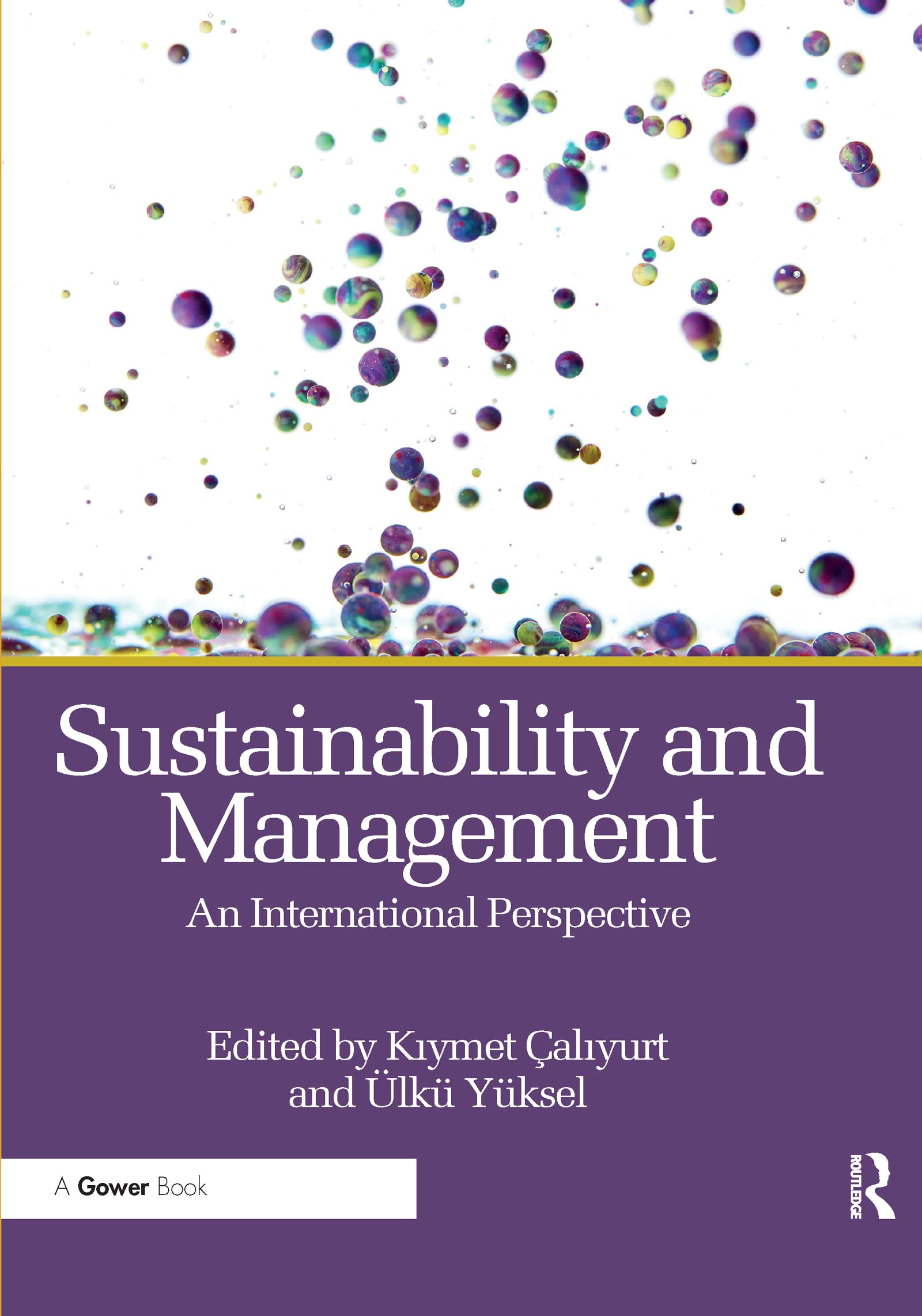 Sustainability and Management 1st Edition