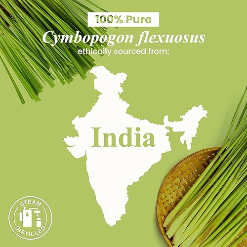 Miniatura 49 de Handcraft Blends Aceite esencial de eucalipto orgánico, 1 onza líquida, 100% puro y natural, aceite esencial de alta calidad para difusor