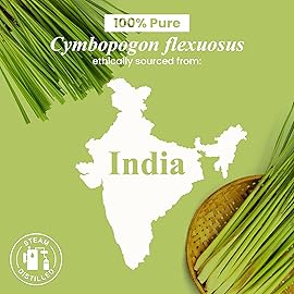 Handcraft Blends Organic Lemongrass Essential Oil - 1 Fl Oz - 100% Pure and Natural - Premium Grade Essential Oil for Diffuser and Aromatherapy