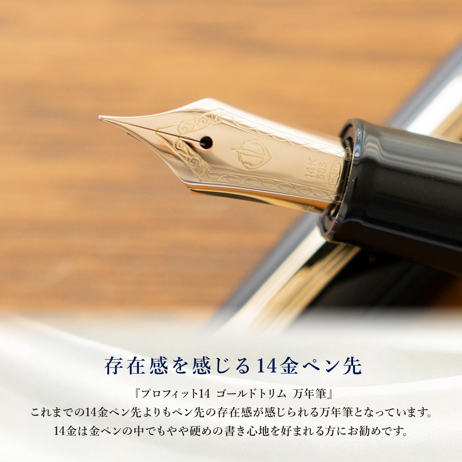 Amazon | セーラー万年筆 プロフィット14 ゴールドトリム 万年筆 ペン