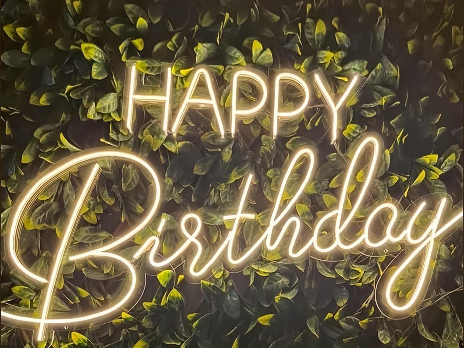 LED Neon Sign Night Light for Wall Party Décor Bedroom Room Bar Wedding Home Birthday Art Decoration Christmas with USB Chain Light modulator 6v — view 11