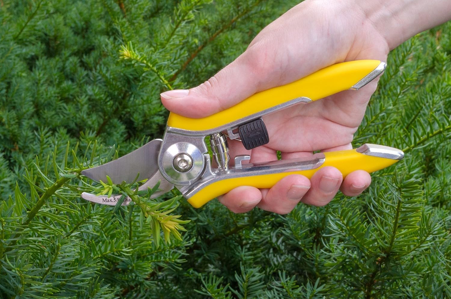 Dramm Bypass Pruner, Cut up to 5/8-inch in diameter, Stainless Steel Blade, Green