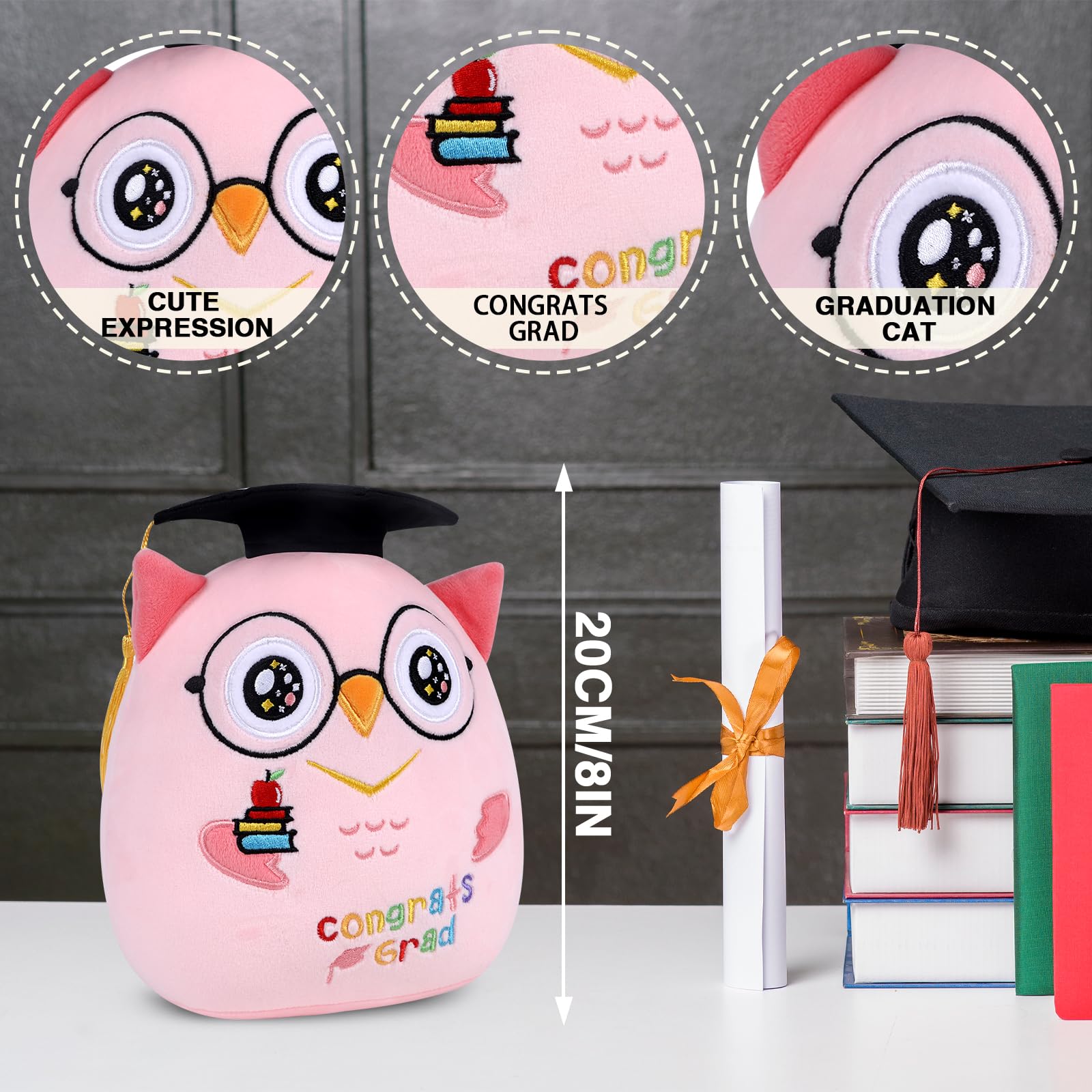 Amazon.com: refavor Pink Owl Kindergarten Graduation Stuffed