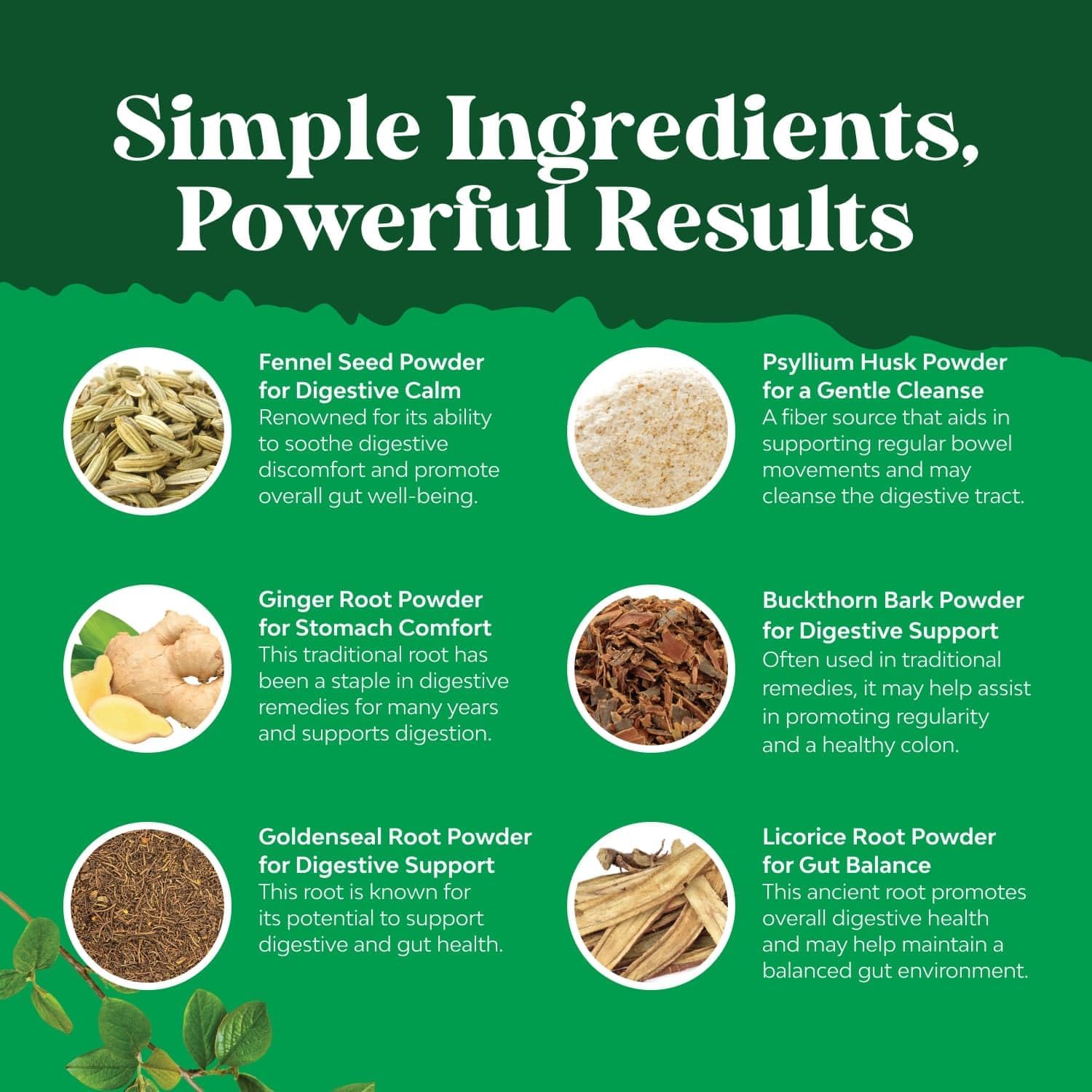 Colon Cleanser & Detox - Lactobacillus Acidophilus Probiotic Supplement Body Cleanse - Psyllium Husk Capsules Gut Health Supplement 60 Count (Pack of 1) image 5 of 8 B0854Q6C1K