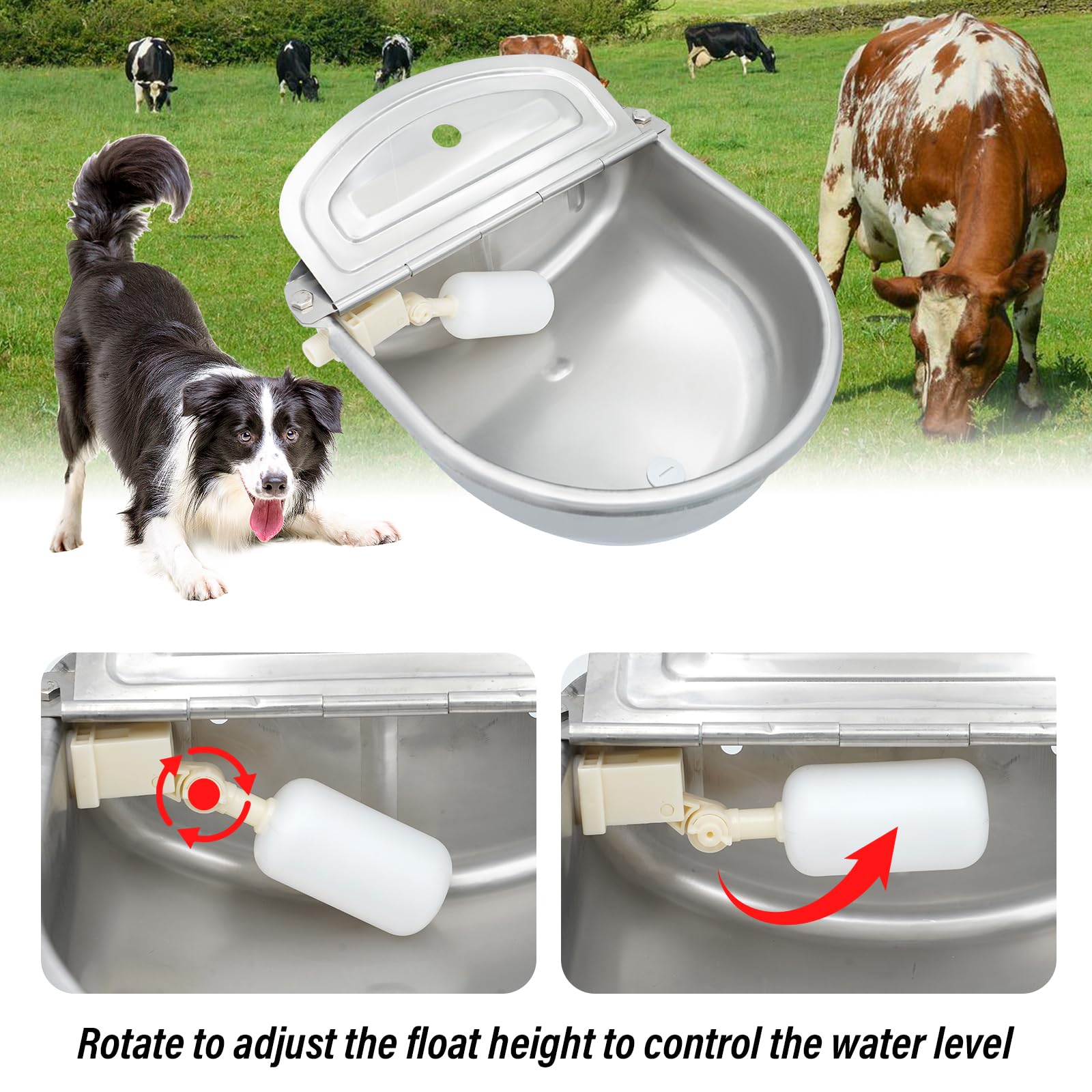 Ciotola automatica per acqua con valvola a galleggiante, distributore di acqua per cani abbeveratoio con tubo per bestiame, galline, cavalli, bovini, capre, bovini, mucca