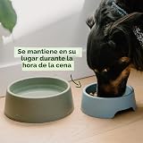 Ver la foto 4