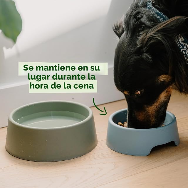 Foto 4 de 7 de Beco Cuenco para Perros - Cuenco Estable para Alimentos y Agua, plástico Reciclado, Base de Goma…