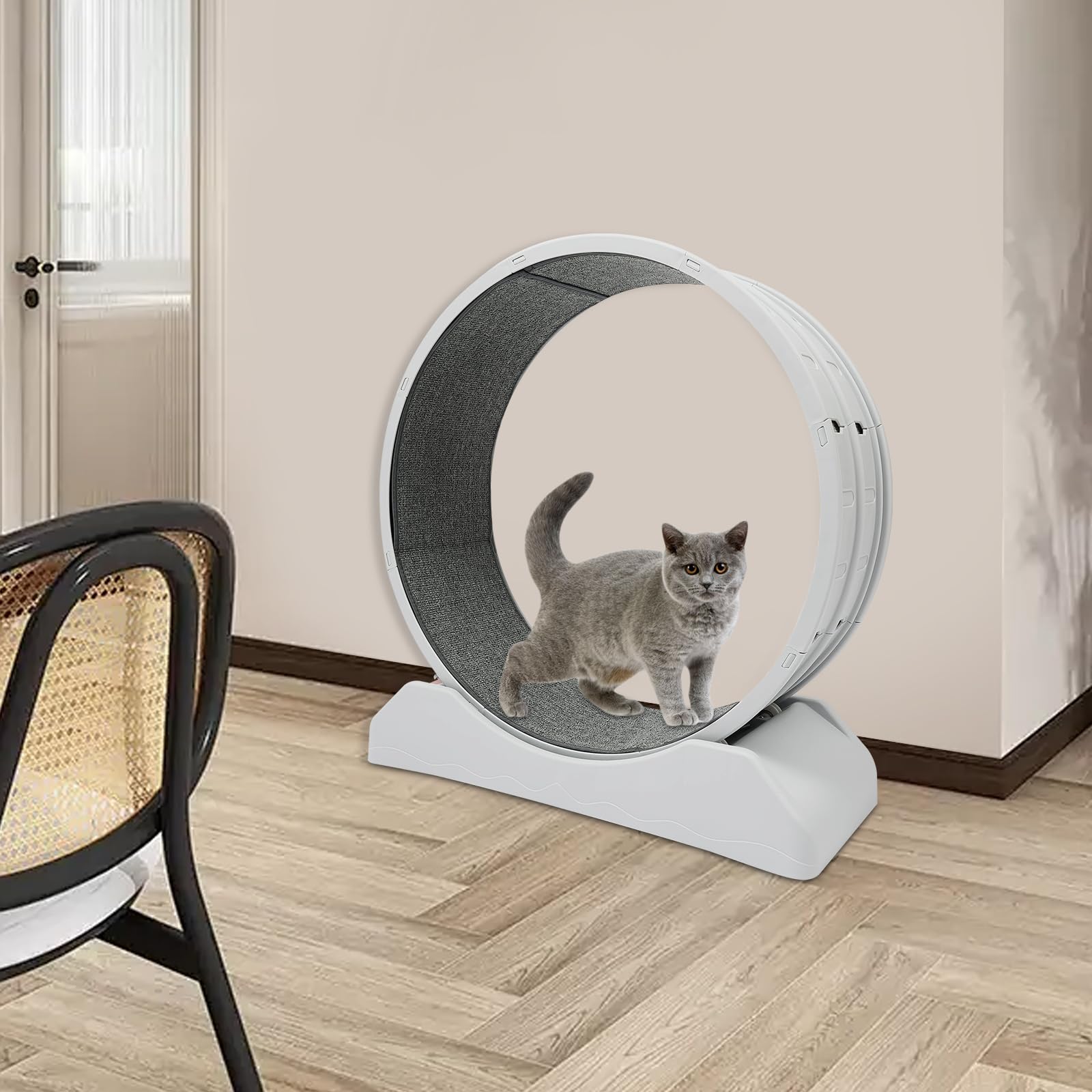 Rueda para gatos XXL 80 cm, rueda silenciosa para gatos de hasta 10 kg, con alfombra extraíble y candado de seguridad para diversión interactiva
