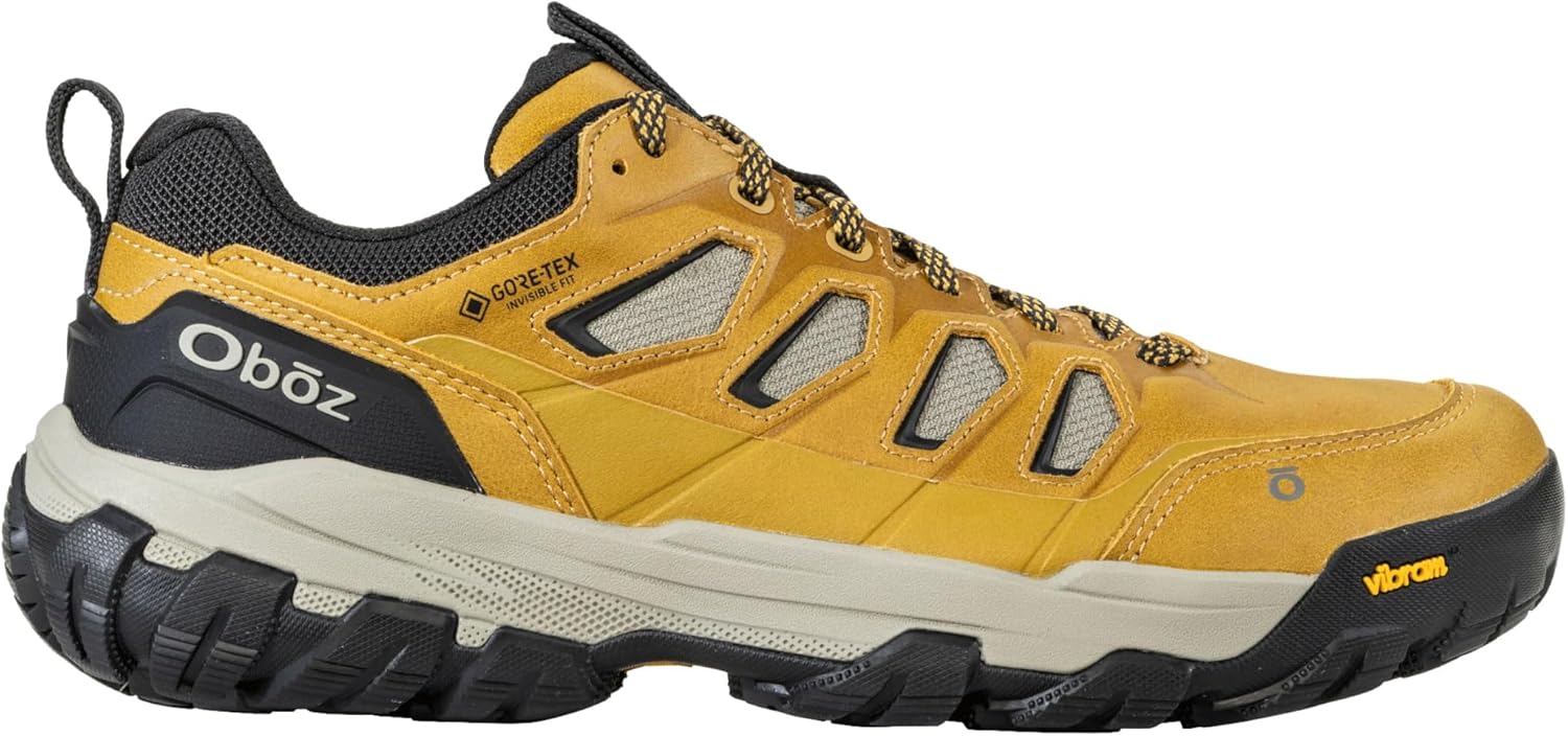 Oboz Men's Sawtooth X Pro Low GTX Hiking Shoe