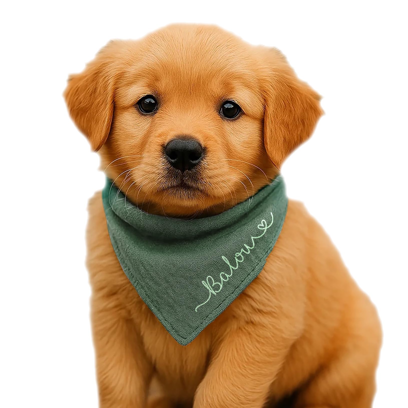 Hunde Halstuch Personalisiert Dreieckstuch aus Musselin Gaze 100% Baumwolle in 4 Grössen erhältlich, mit Namens Personalisierung aus OekoTex zertifiziertem Druckmaterial