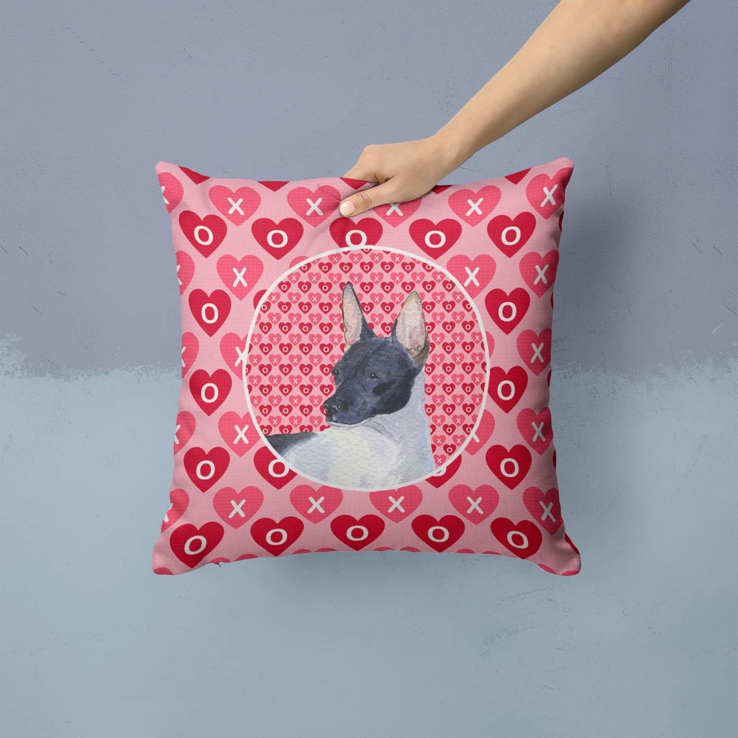 Caroline's Treasures SS4480PW1414 Rat Terrier Hearts Love and Valentine's Day Portrait Fabric Decorative Pillow Machine Washable, Indoor Outdoor Decorative Pillow for Couch, Bed or Patio, 14Hx14W