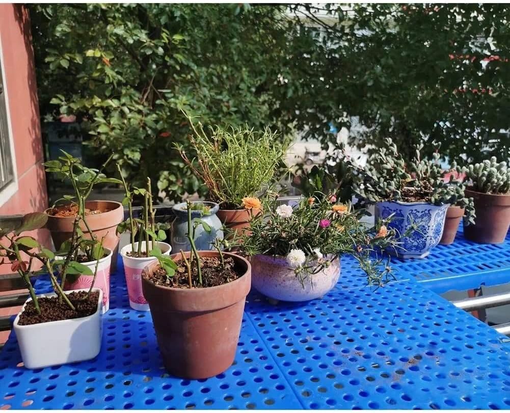 GRRICEPL Plastic Pallets for Basement Storage - Hand Truck Helper and Mini Storage Pallet, Interlocking Board Goods Moisture-Proof Platform - 2200 Lb/m². Capacity (Color : Blue, Size : 100x60x3cm)