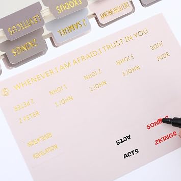 150Pcs Laminated Bible Tabs for Women and Men, Bible Study Tabs Bible Study Supplies Large Print Bible Book Index Tab with Gold Foil Embossed Lettering (Gray + Gold)