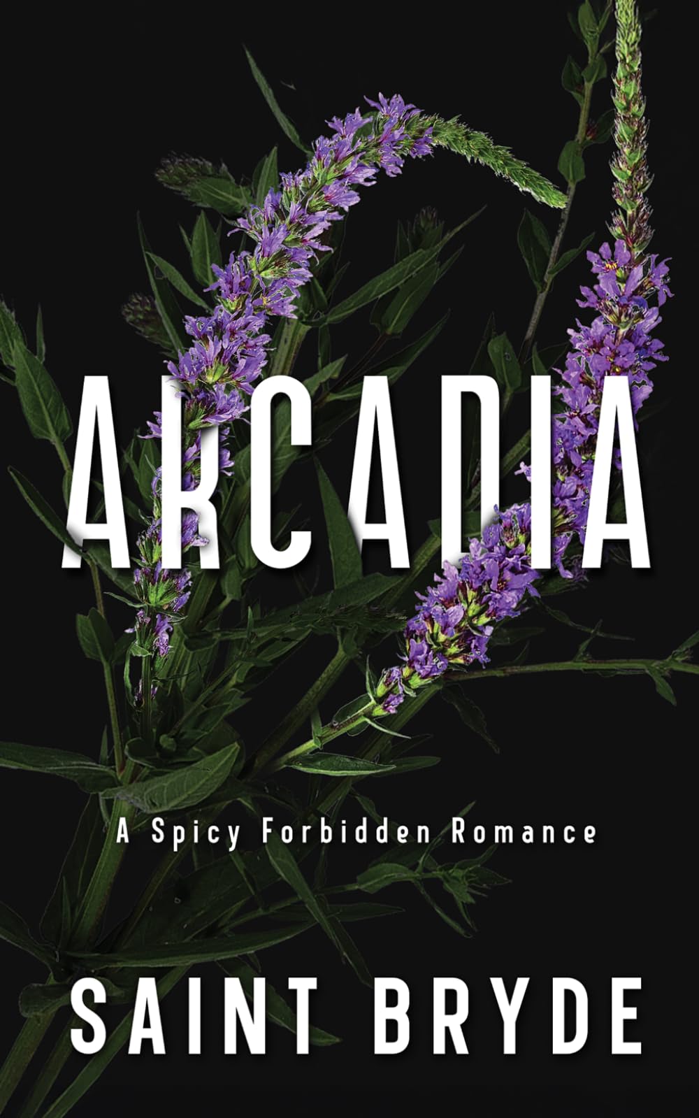 Arcadia: A Spicy Forbidden Romance