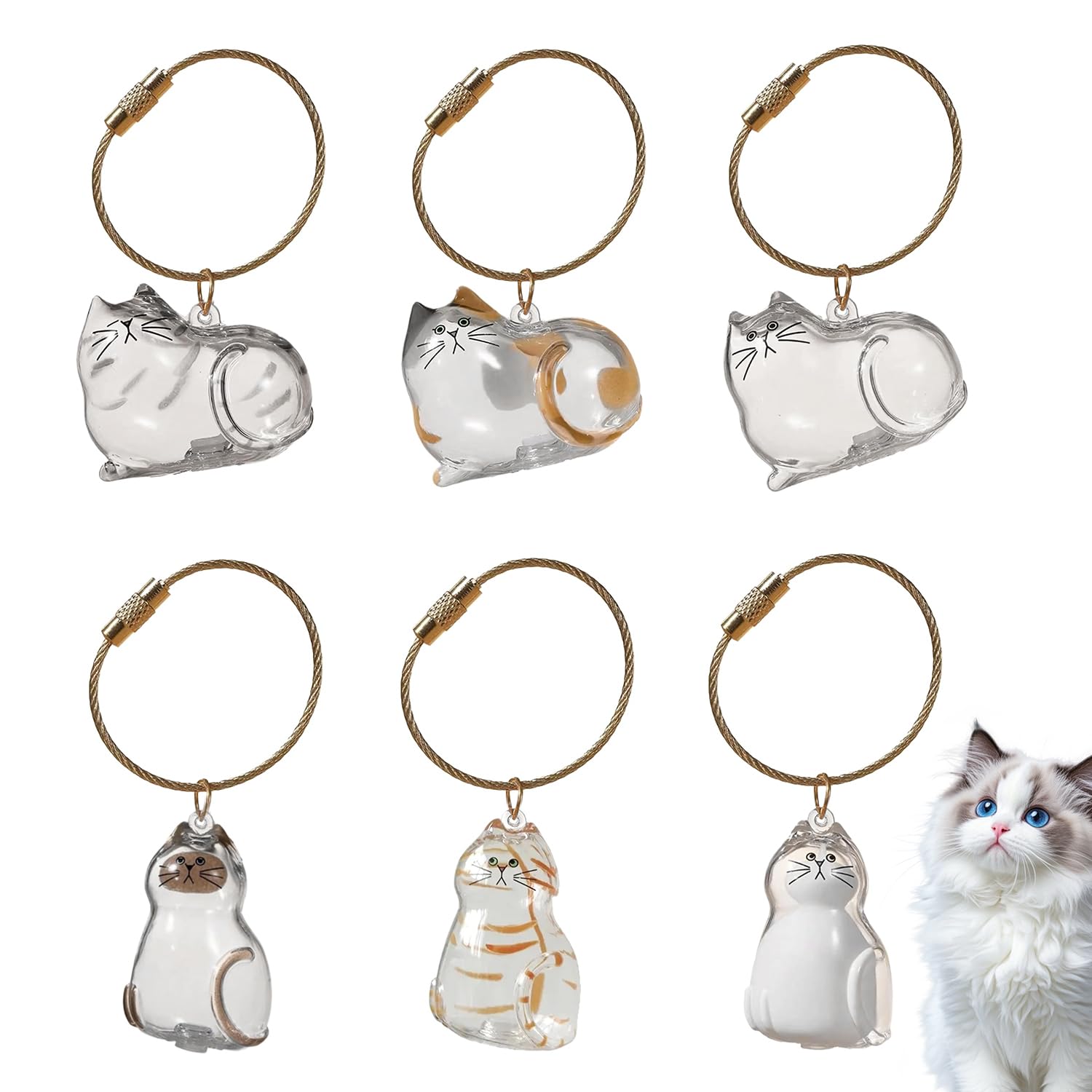 6 Pcs Cat Hair Storage Keychain, Transparent Cats hair Organizer, Cat Hair Keepsake, Transparent Cats Hairs Collection Box Keychain, Memorial Gift for Girl Women
