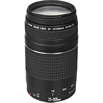 Canon Zoom LENS 75-300mm 4-5.6 キヤノン #5 71THkCTL2CL._UF350,350_QL50_.jpg