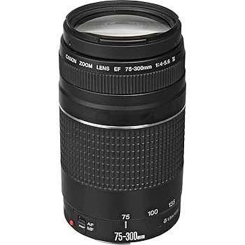 【完動品】 Canon zoom Lens EF 75-300 iii usm Amazon.com : Canon EF 75-300mm f/4-5.6 III Telephoto Zoom