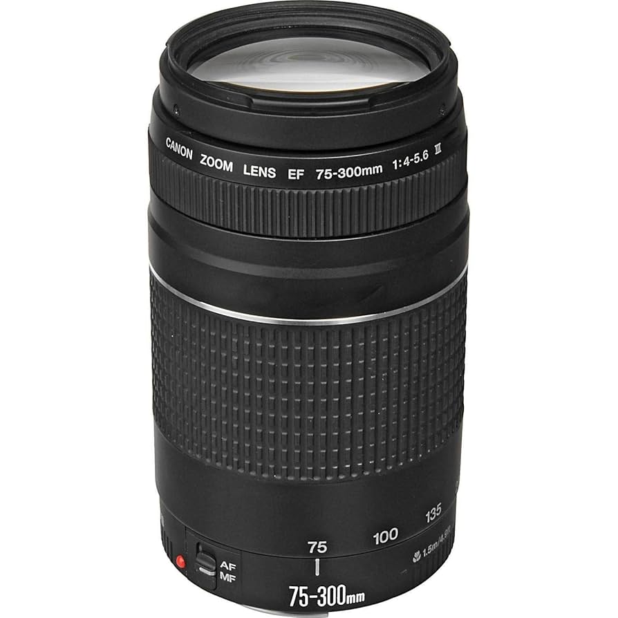 レンズ(ズーム) CANON EF 75-300mm F4-5.6 III USM#230479 Amazon.com : Canon EF 75-300mm f/4-5.6 III Telephoto Zoom