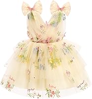 IMEKIS Toddler Girls Butterfly Birthday Dress - Rainbow Tulle Ruffle Tutu for 1st Birthday, Parties, Weddings & Photo Shoots (12M-5T)
