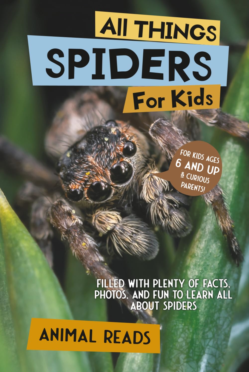 All Things Spiders For Kids: Filled With Plenty of Facts, Photos, and Fun to Learn all About Spiders