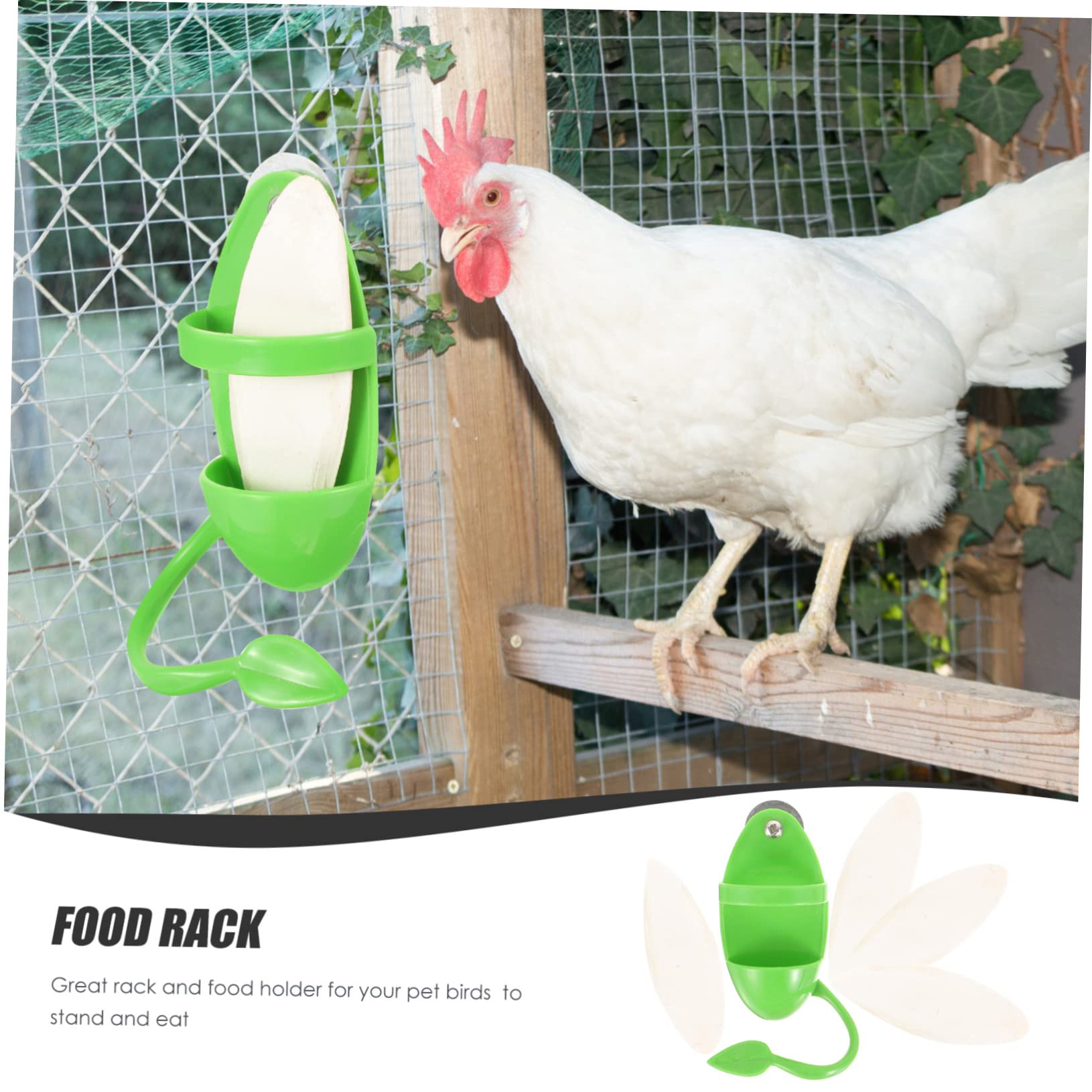 Mipcase 5ensembles Mangeoire Suspendue pour Oiseaux avec Support De Seiche Accessoire Pratique pour Perroquets Perruches Et Autres Oiseaux pour Fruits Et Légumes