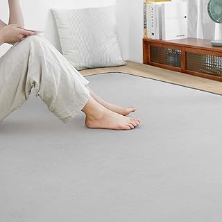 SOMANT Rug, 17.8 sq ft, Non-Slip, Mite Resistant, Odor Resistant, Nordic Style, Antibacterial, Protects Floors, Prevents Falls, Compatible with Heated Floors and Carpets, Light Gray, 39.4 x 55.1