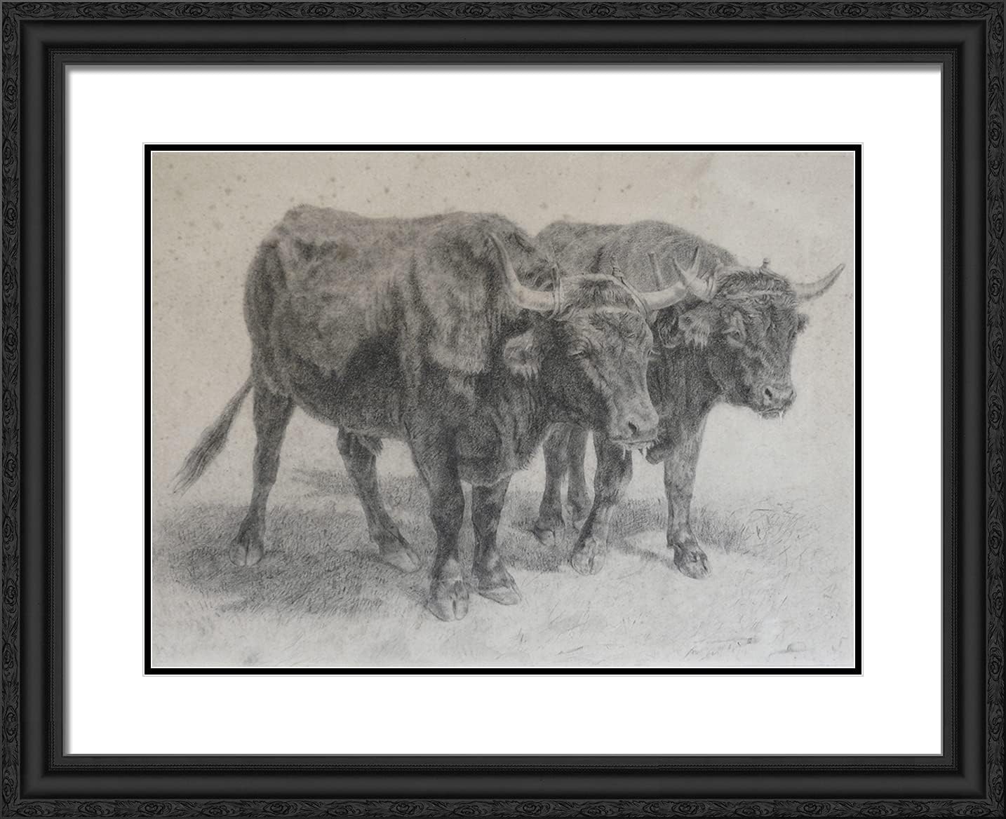 ArtDirect Bonheur Rosa 24x20 Gold Ornate Framed Art Print with Double Matting Titled: Boeufs du Cantal