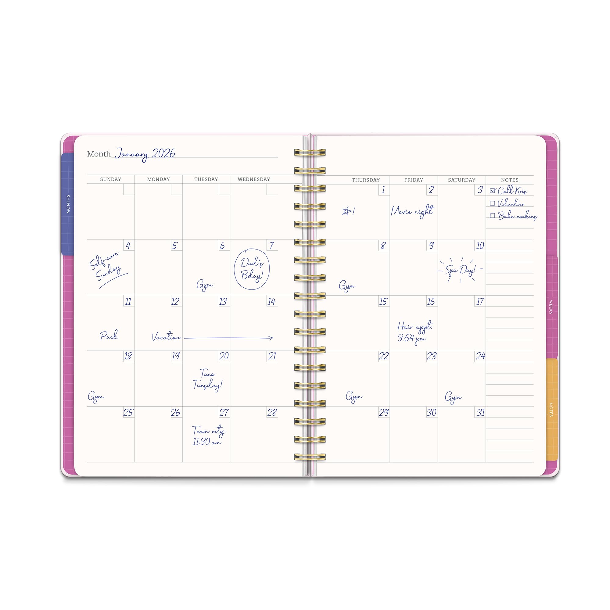 Agenda giornaliera senza date, planner settimanale e mensile con adesivi, calendario Orange Circle Studio 17 mesi, 17,8 x 24,4 cm, ideale per scuola e ufficio, planner Tri-Tab, stampa fiera floreale