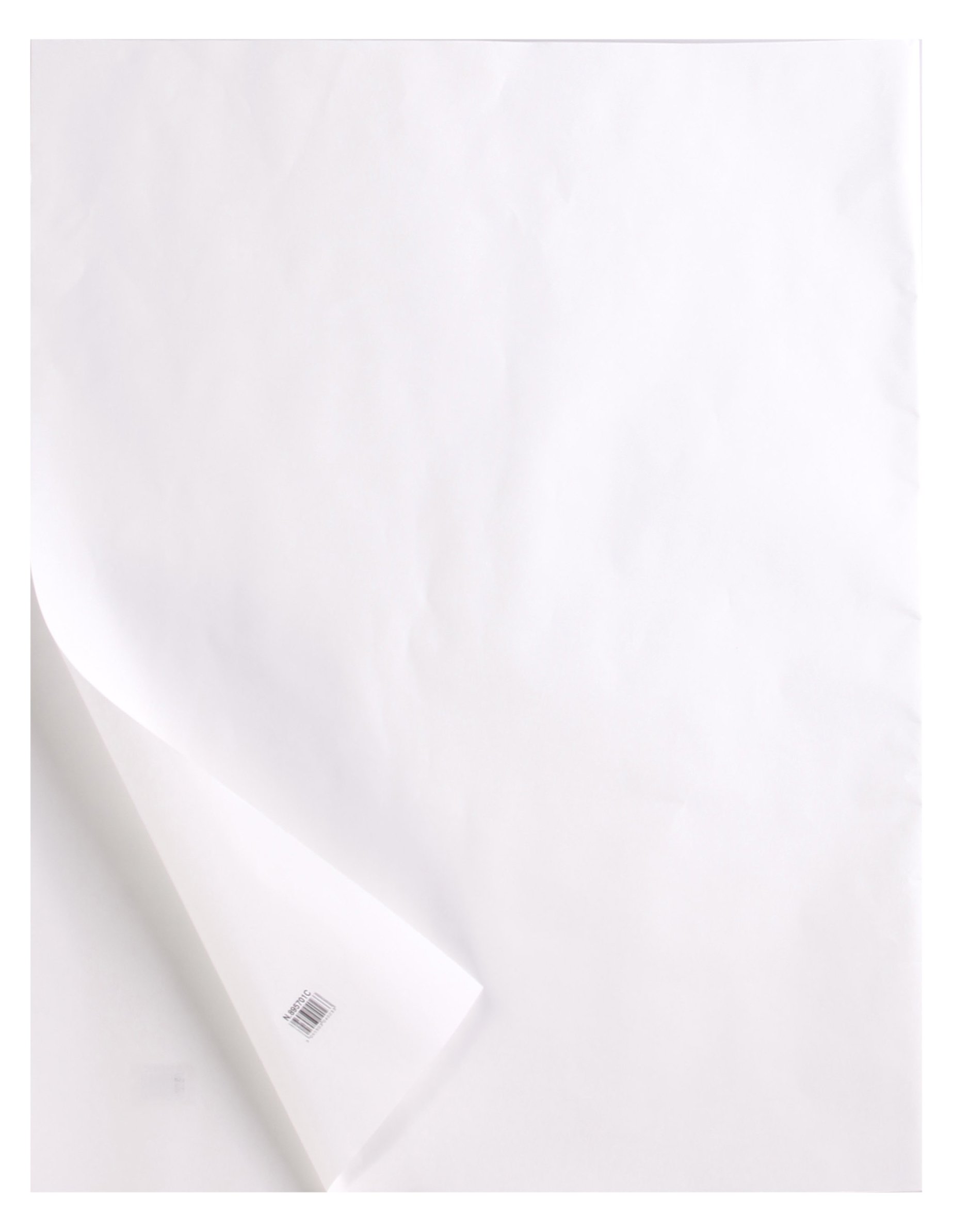 Clairefontaine 975122C Rollo Papel Calco - Papel Calco Altamente Transparente - 0,375x20 m 140g - Embalado en un Tubo de Cartón Resistente - Ideal para el Dibujo Técnico