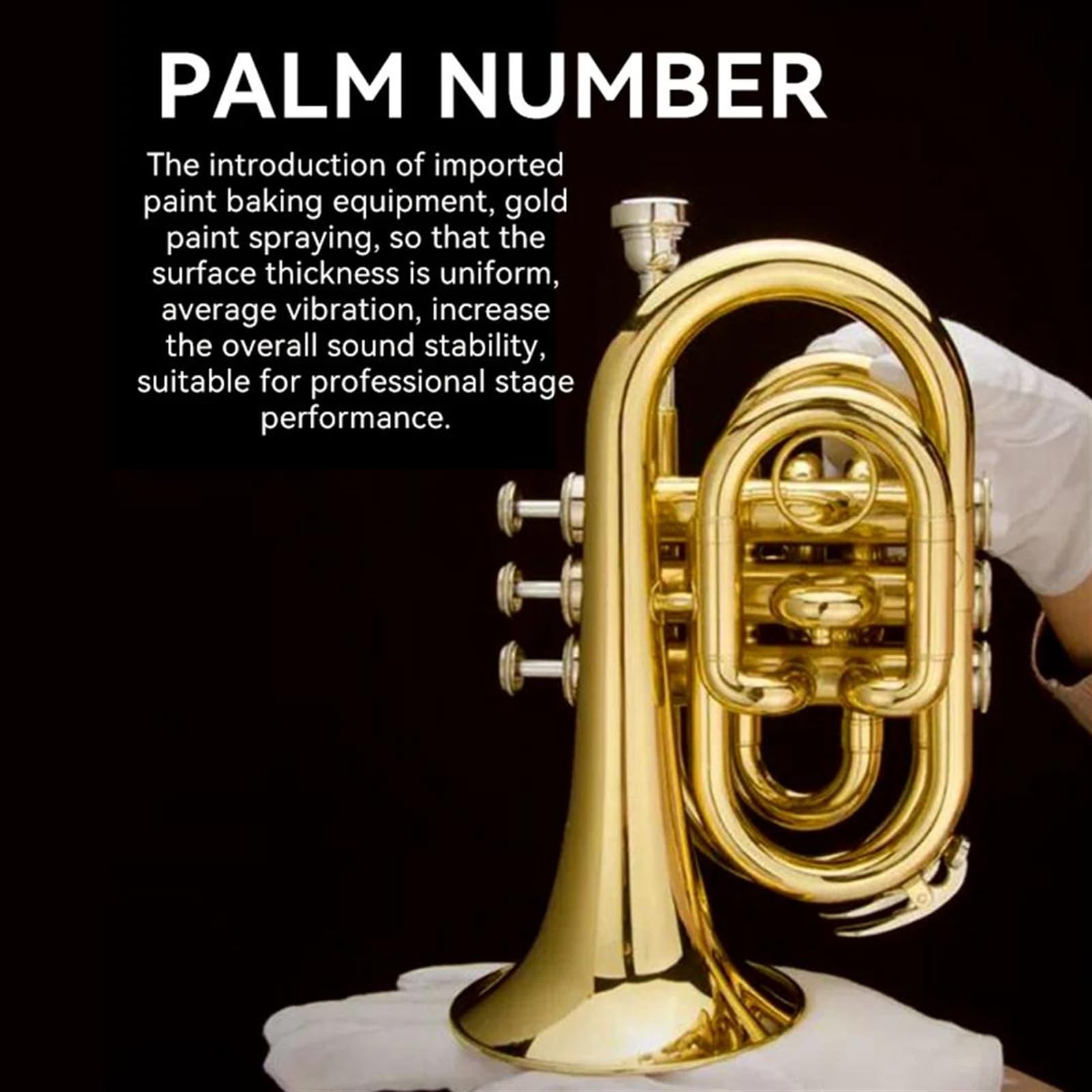 Standard Trąbka Bb Mosiężna Trąbka Kieszonkowa Lakierowana Instrumenty Muzyczne Profesjonalna Stal Nierdzewna Początkujący Pełny Ton